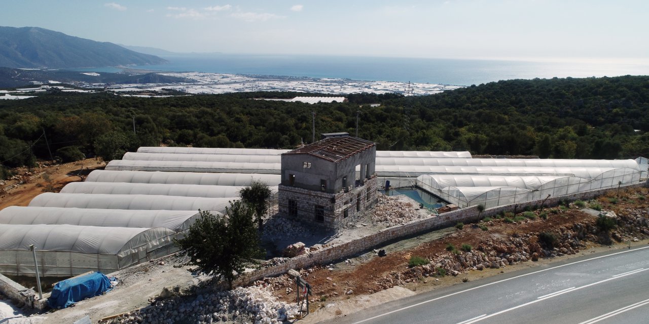 Müze Müdürü, 'İzinsiz Uygulama' Kararında İmzası Olduğu Araziyi Kendine Almış