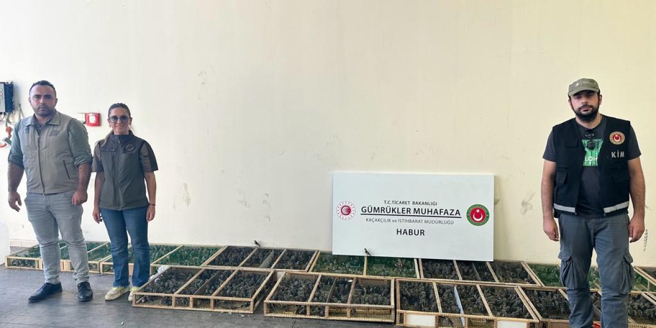 Yasa Dışı Yollarla Bin 600 Saka Kuşu Getiren 2 Şüpheliye, 2 Milyon 292 Bin Tl Ceza