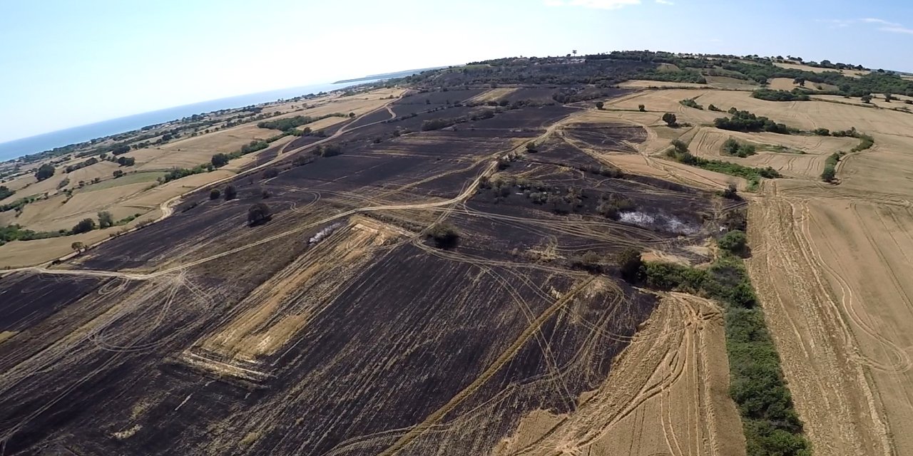 Saros'ta yanan tarlalar ve orman havadan görüntülendi