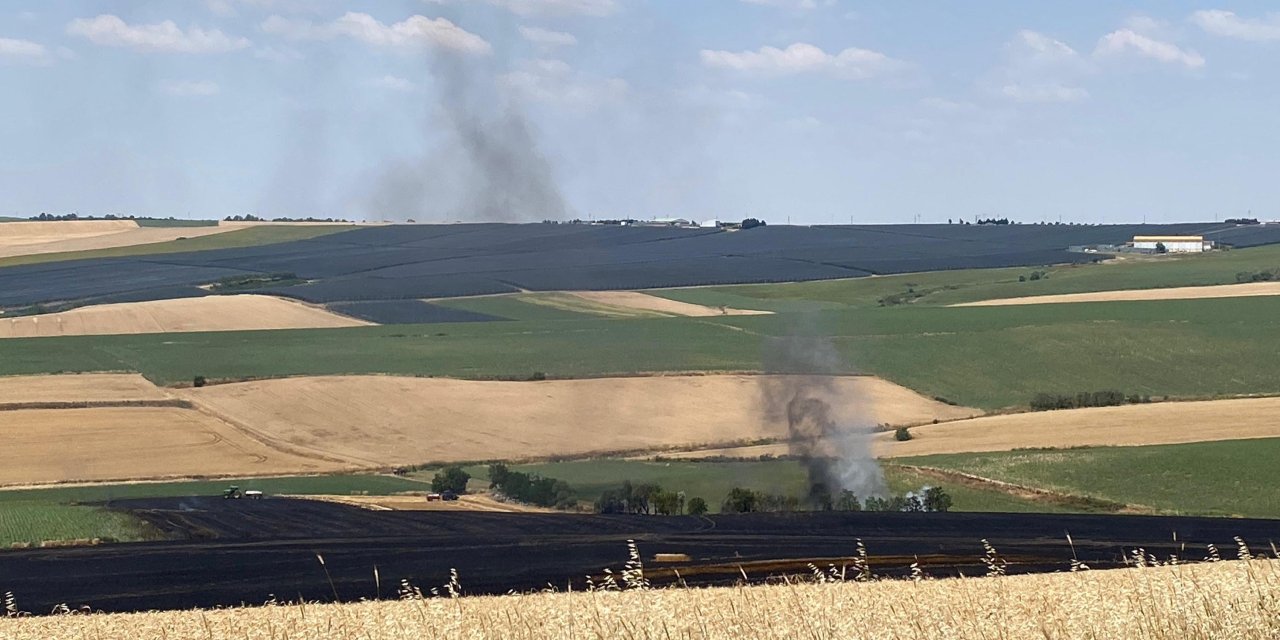 Tekirdağ'da 70 dönüm buğday tarlası yandı