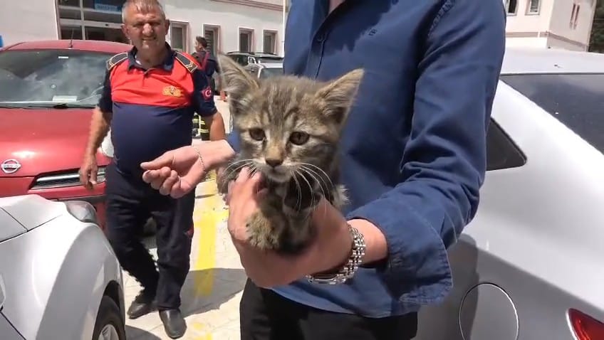 Otomobilin Motoruna Sıkışan Yavru Kedi Kurtarıldı