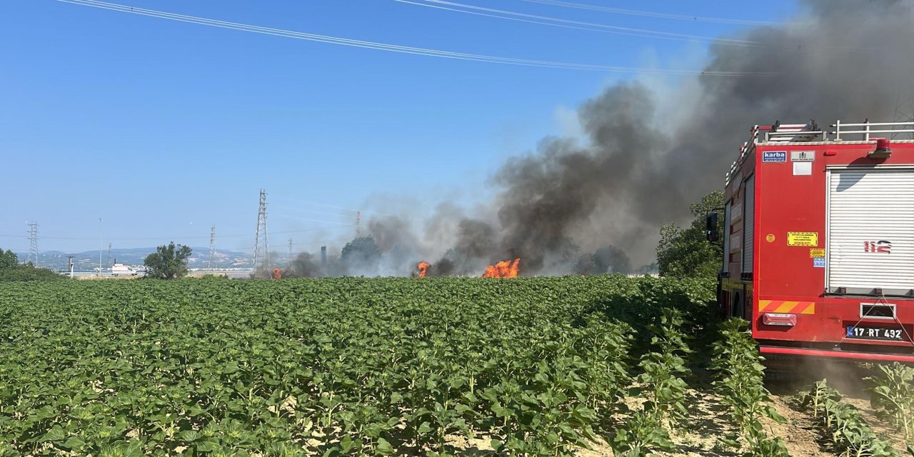 Gelibolu'da tarım arazisinde yangın