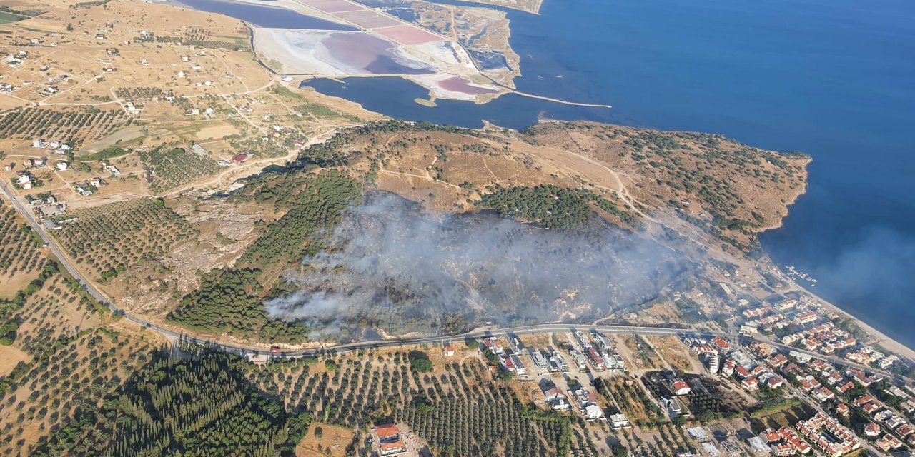 İzmir'de maki yangını