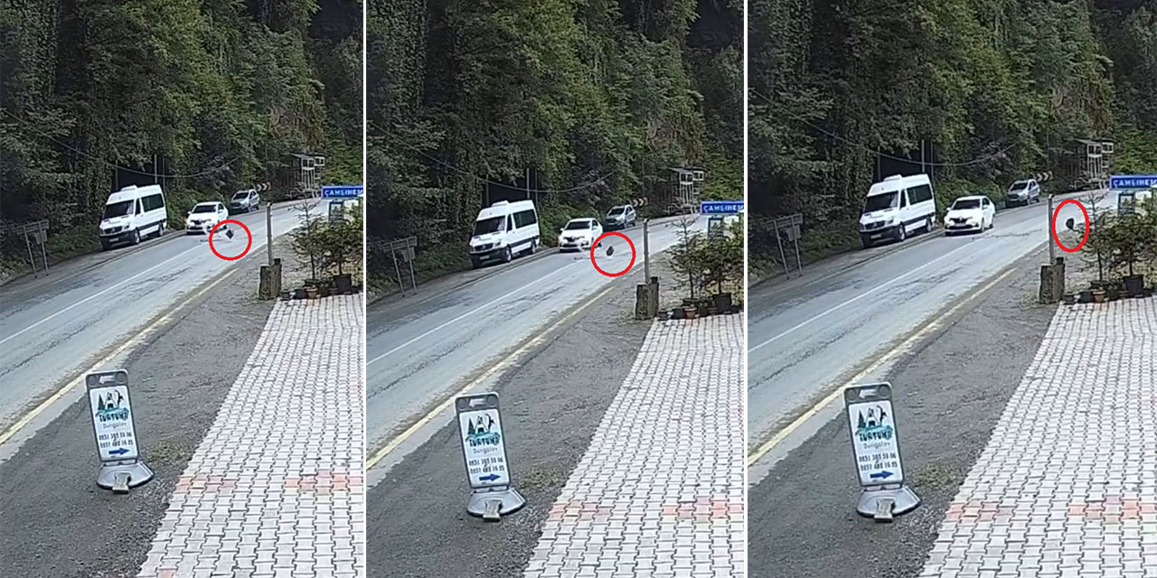 Rize'de seyir halindeki otomobilin önüne kaya düştü; o anlar kamerada