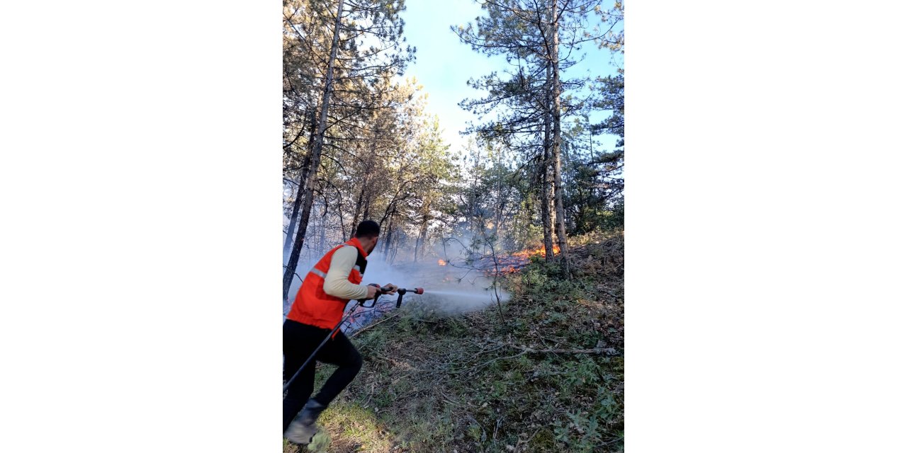 Mudurnu'daki Orman Yangını 1 Saatte Söndürüldü