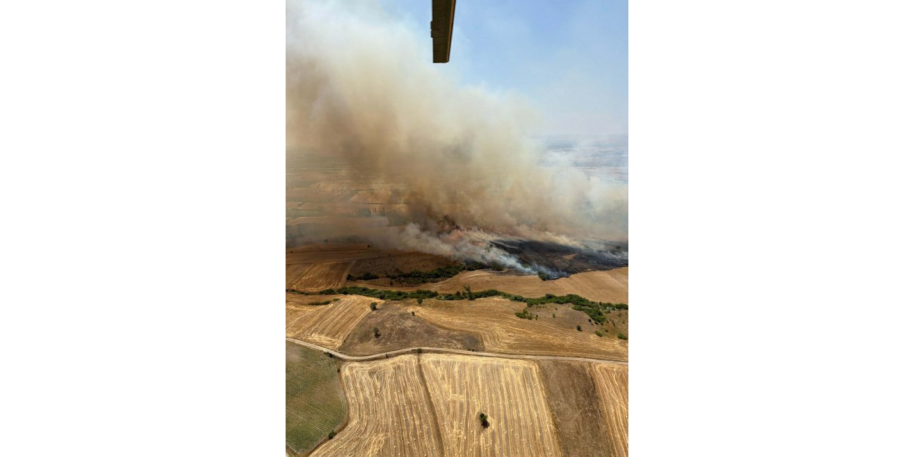Balıkesir'de tarım arazisinde yangın