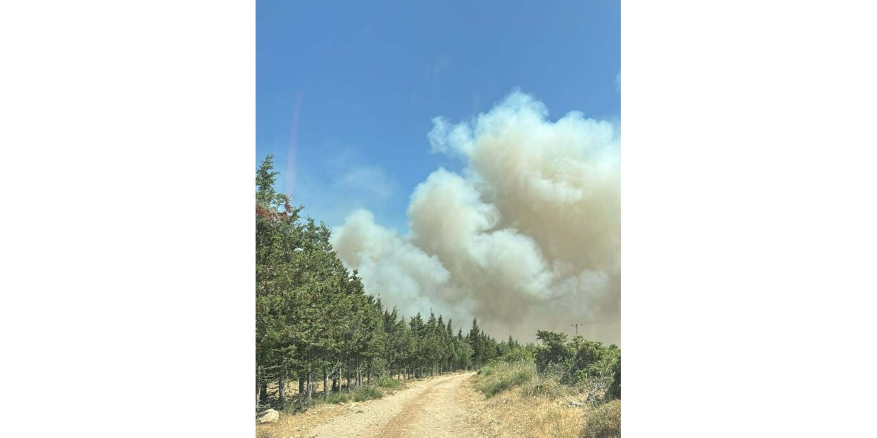 Çanakkale'de tarım arazisinde yangın