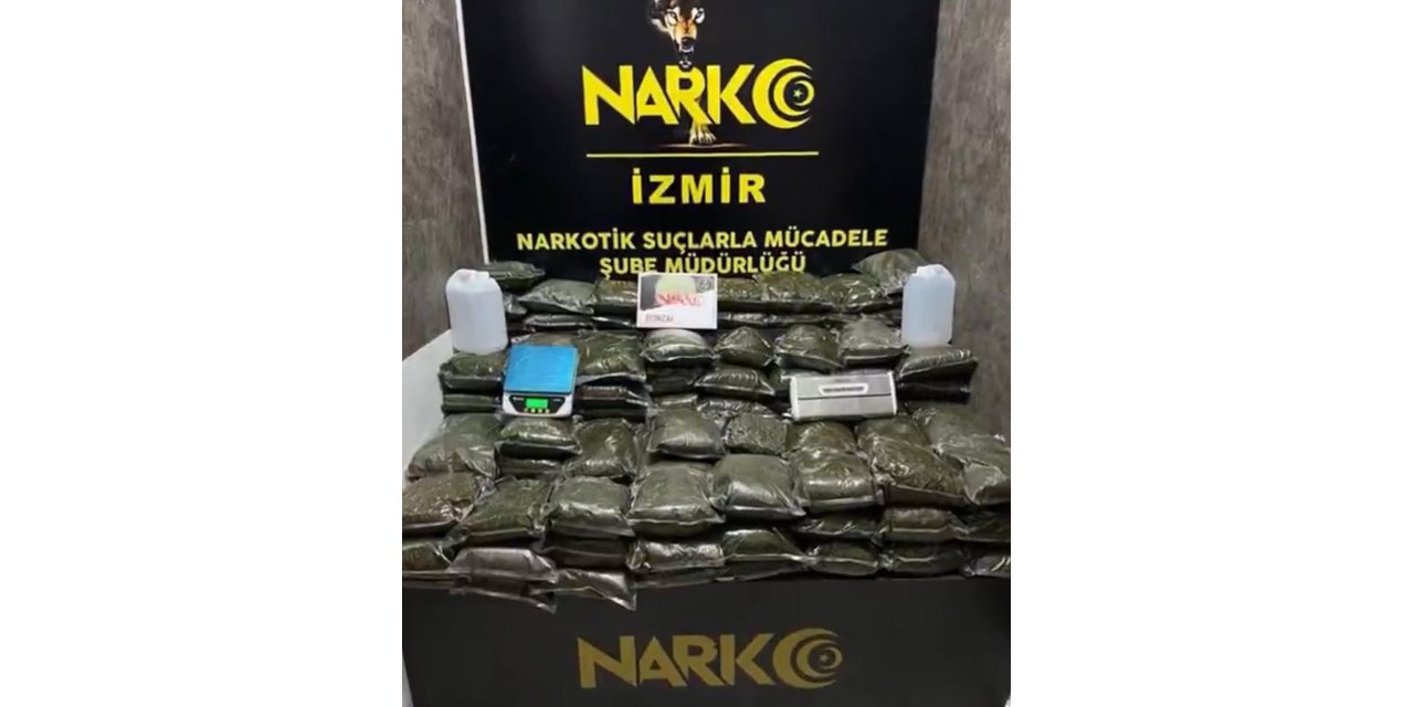 İzmir'de 126 kilo bonzai ele geçirildi