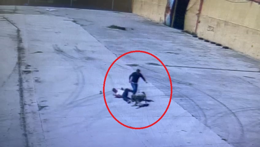 Sokak köpeğinin saldırdığı işçiyi arkadaşı kurtardı; o anlar kamerada