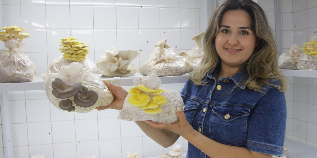 Çocuklara Mantarı Sevdirecek Renkli Üretim