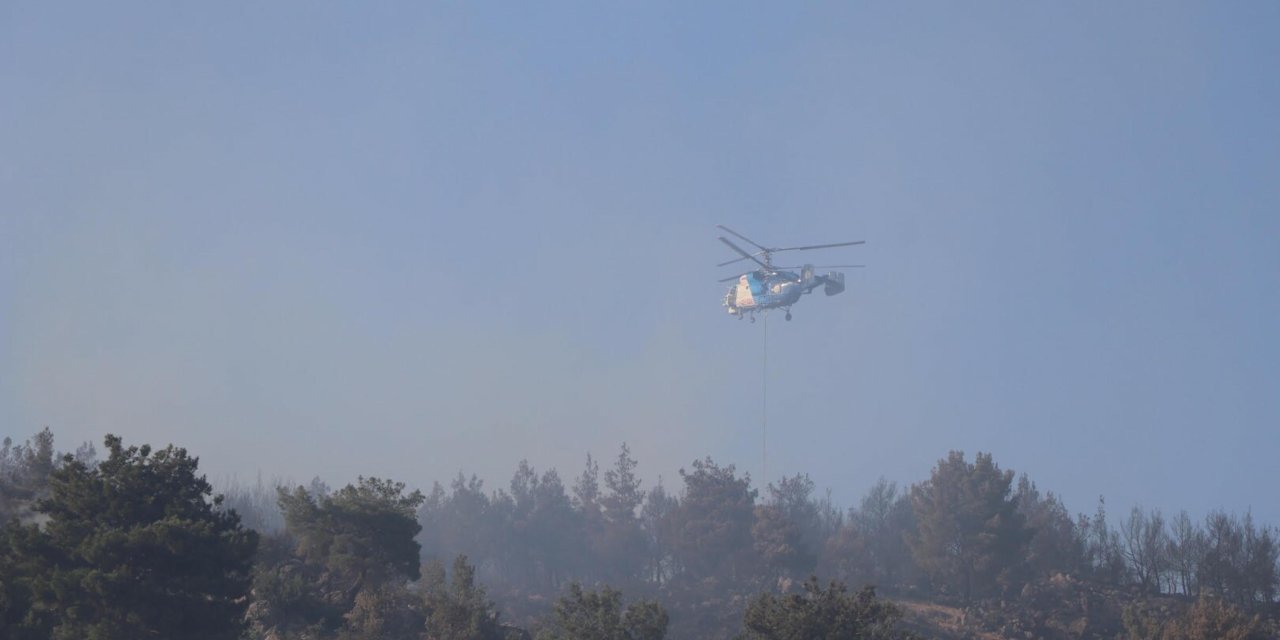 Manisa'daki orman yangını 2'nci gününde