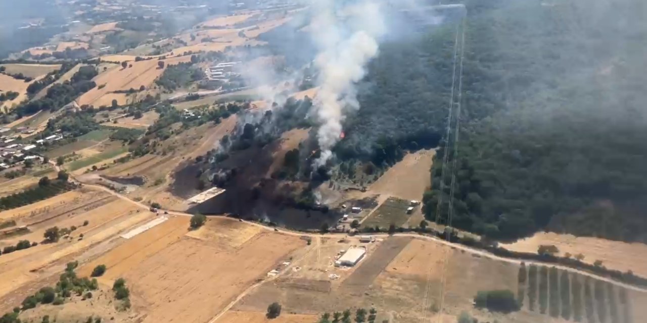 Bursa'da orman ve makilik yangını