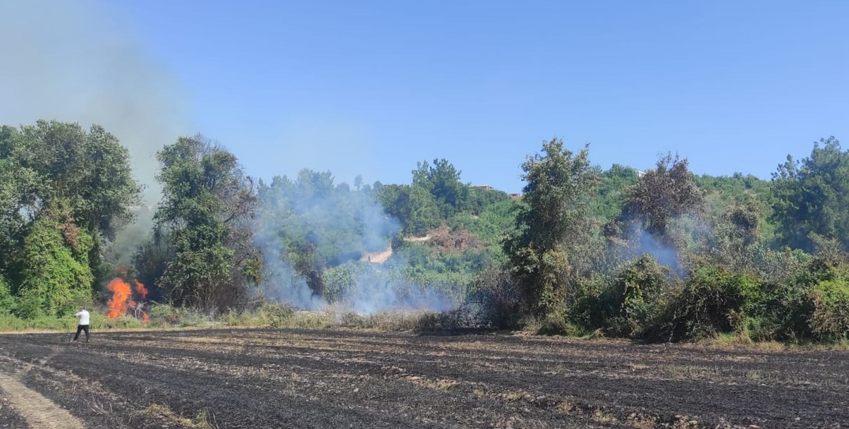 Antalya'da orman yangını (2)