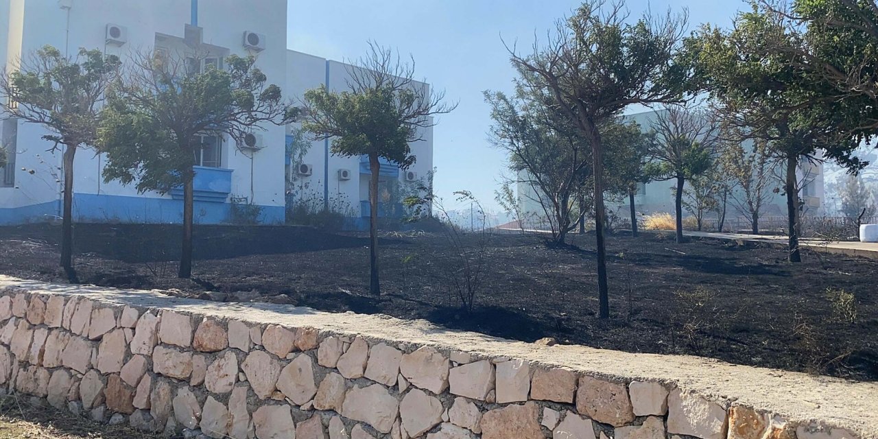 Aydın'da makilik yangını (3)