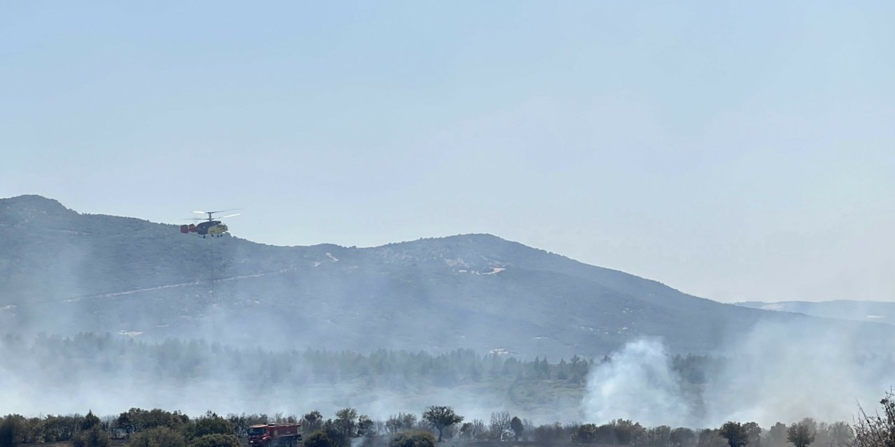 Uşak'ta makilik yangını