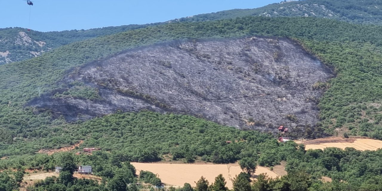 Bursa'da orman yangını (2)