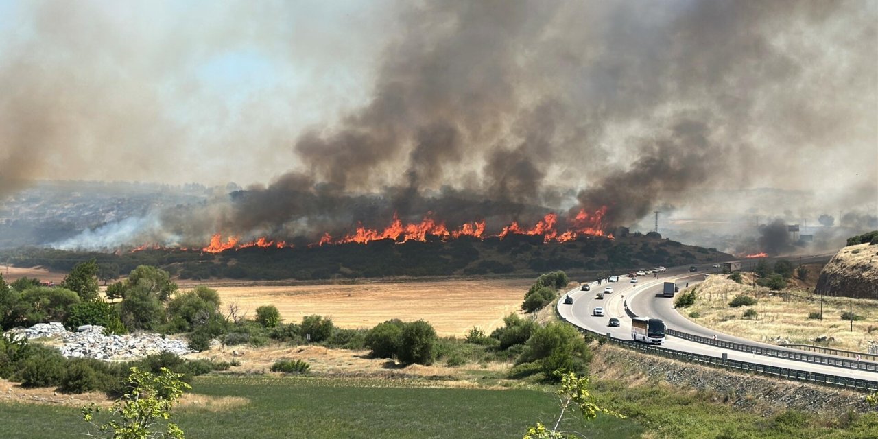 Çanakkale'de orman yangını (2)
