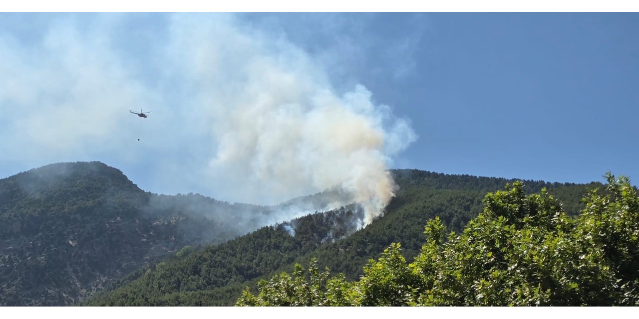 Hatay'da orman yangını (2)