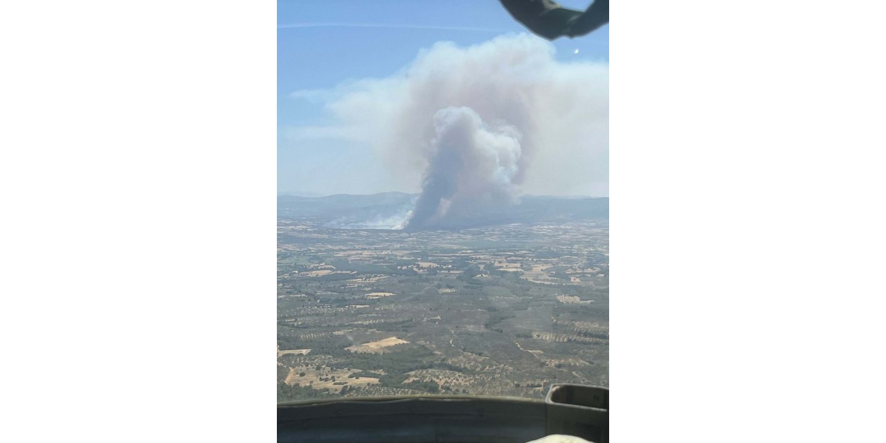 Çanakkale'de orman yangını (3)