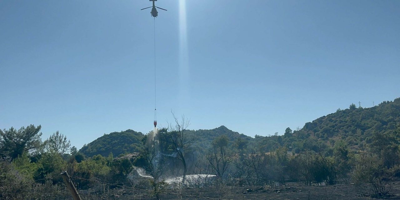Marmaris'te ot yangını