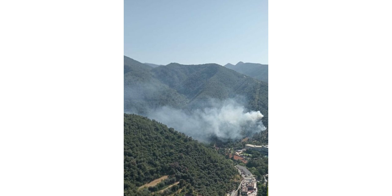 İzmir'de orman yangını