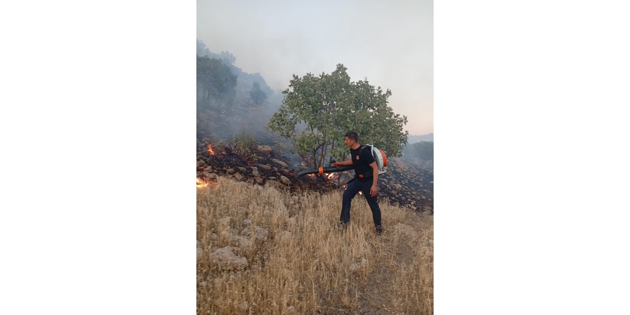 Mardin'de örtü yangını (2)