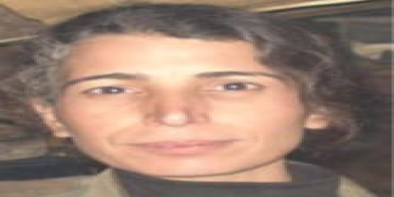 Mit, Pkk/ypg'nin Finans Sorumlusunu Etkisiz Hale Getirdi