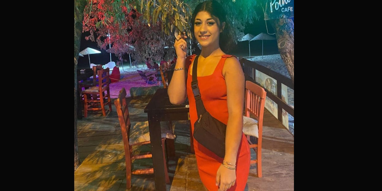 Sarıyer'de Öldürülen Oya ve Cinsel İstismar Şüphelisinin İfadesi Ortaya Çıktı