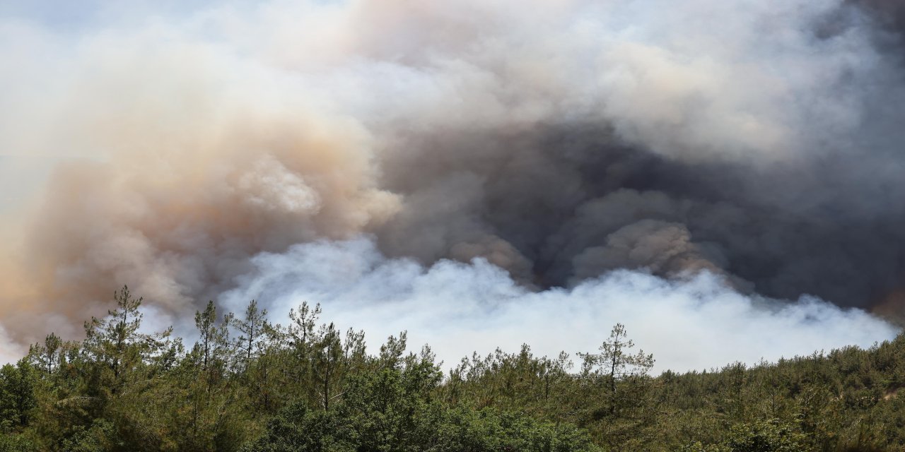 Sakarya'da çıkıp Bilecik'e sıçrayan orman yangını 2'nci gününde
