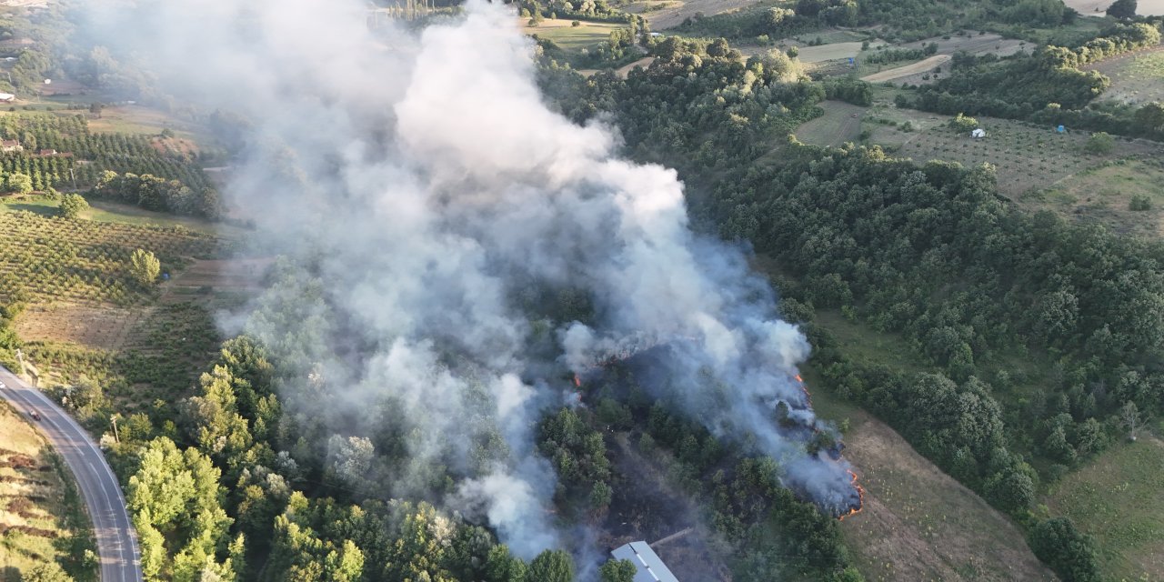 Bursa'da çöplükteki yangın ormana sıçradı/ Görüntü eklendi