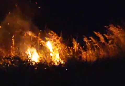 Havai fişek ormanı yaktı; düğündekiler tahliye edildi