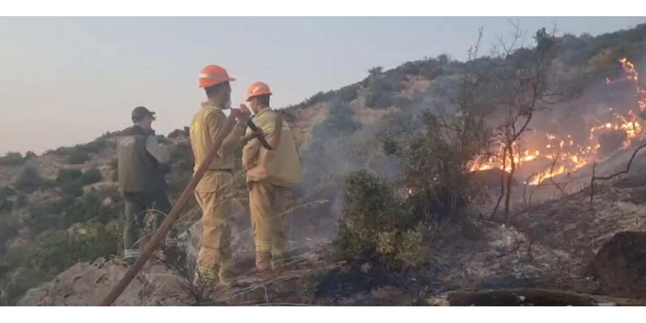 Aydın Bozdoğan'da maki yangını (3)