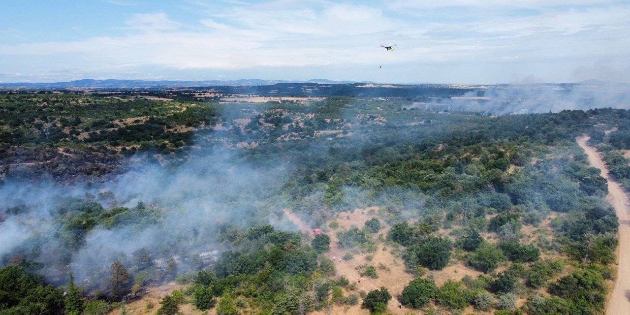 Edirne'deki orman yangını 20,5 saat sonra kontrol altına alındı