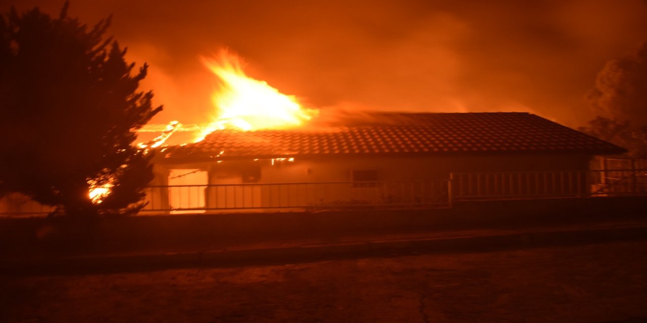 İzmir'de 2 ayrı noktada orman yangını