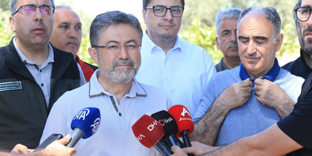 Manisa'daki orman yangını 3'üncü gününde (2)