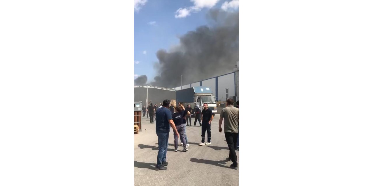 Eskişehir’de fabrika yangını (2)