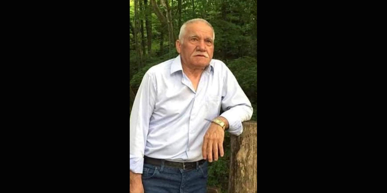 Giresun’da arı sokan çiftçi öldü