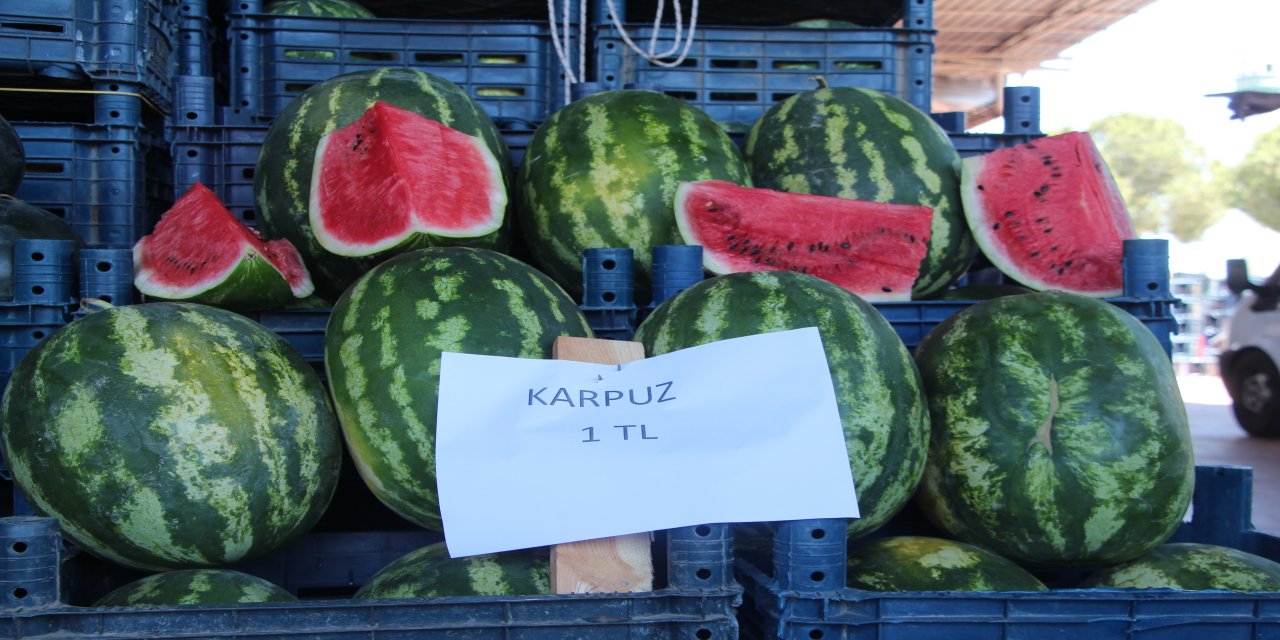 Halde kilosu 1 TL'ye düşen karpuz markette 14 TL