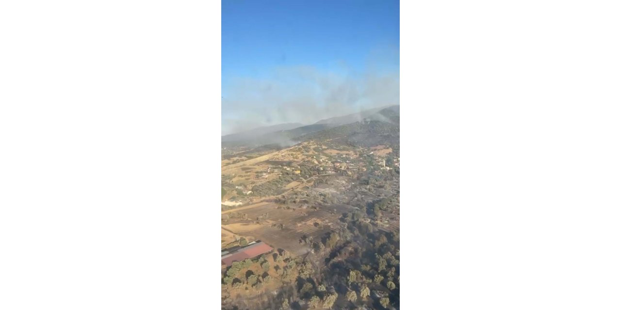 İzmir Ödemiş'teki orman yangını 3'üncü gününde