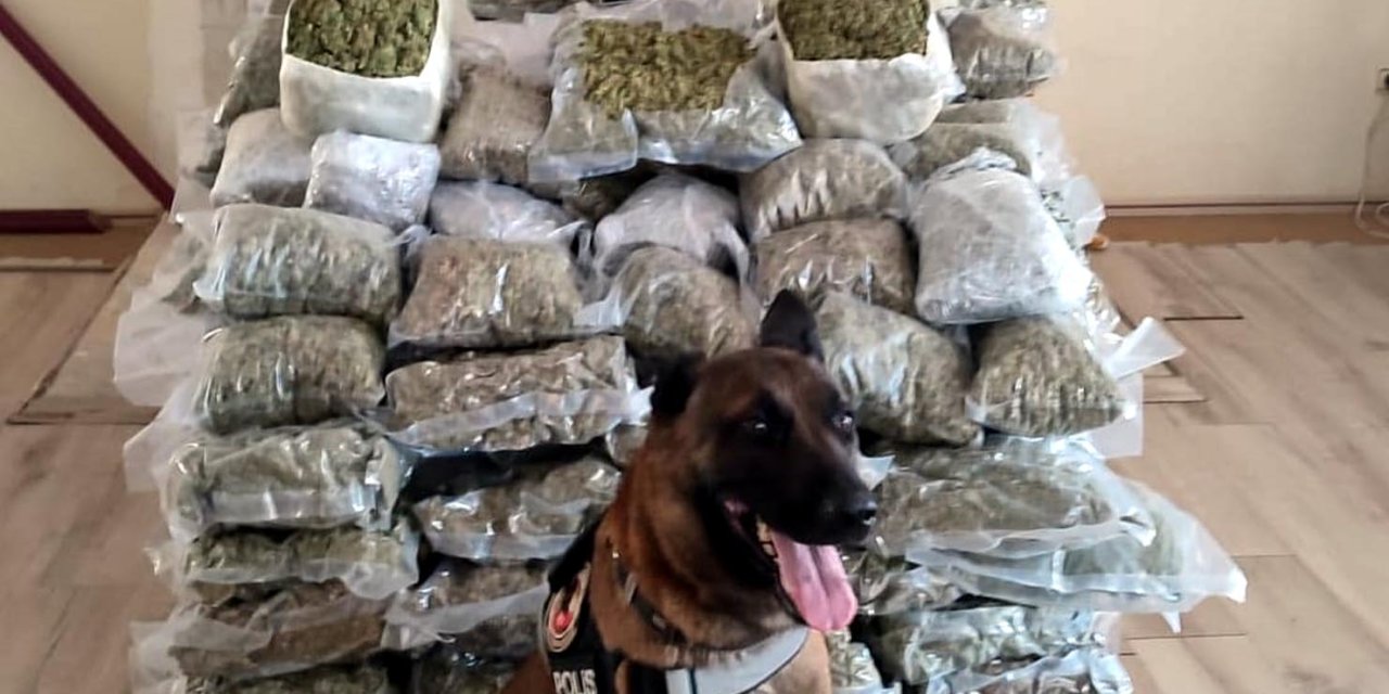 'poyraz'lı Aramada 2 Otomobilde 103 Kilo Uyuşturucu Ele Geçirildi