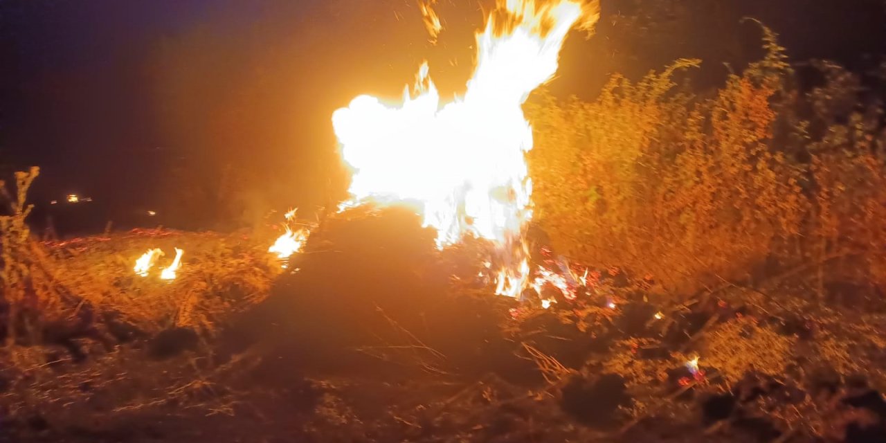 Bursa’da otluk alanda çıkan yangın ormana sıçradı: 20 dönüm zarar gördü