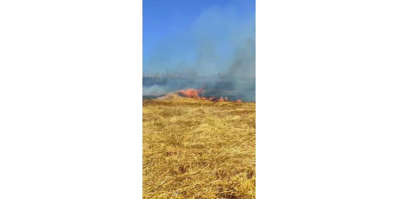 İstanbul - Arnavutköy’de tarlada çıkan yangına, vatandaşlar hortumla müdahale etti