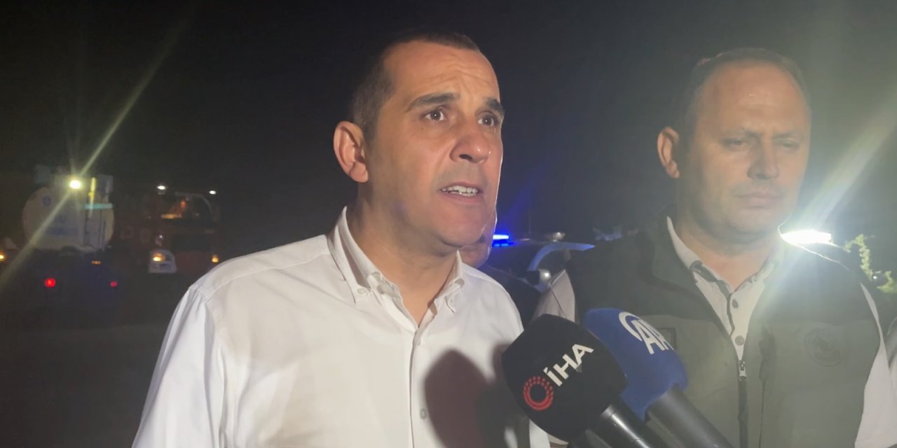 Çankırı'da orman yangını (3)