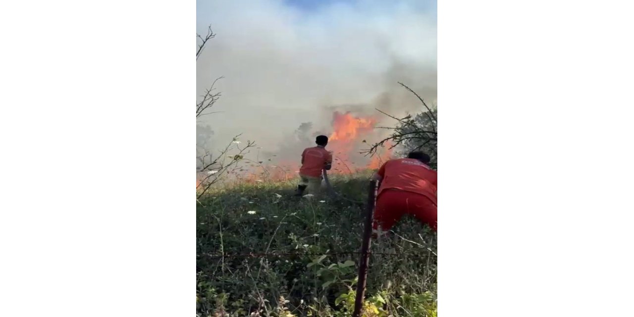 Sakarya’da ağaçlık alanda yangın