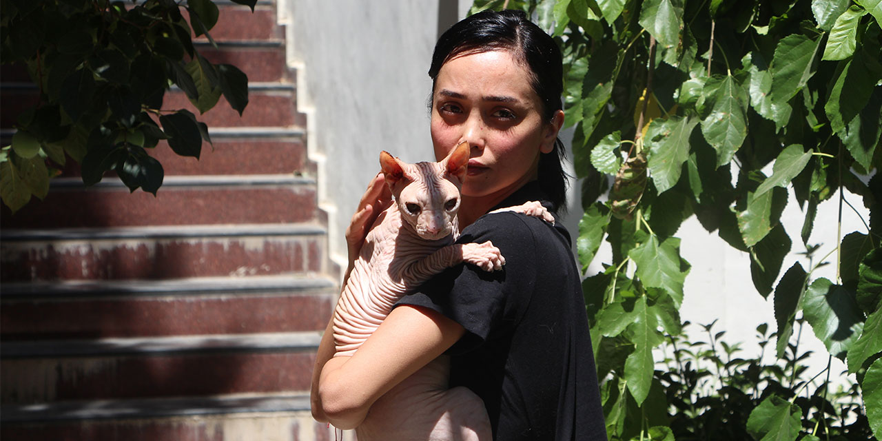 Kaybolan kedisi ‘Odin’i bulana 2 bin dolar ödül verdi