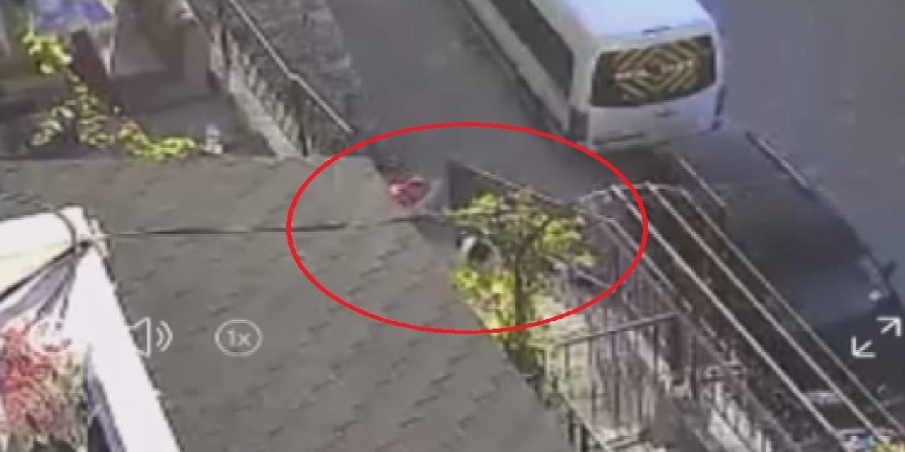 Köpeği taş ve sopayla dövdü