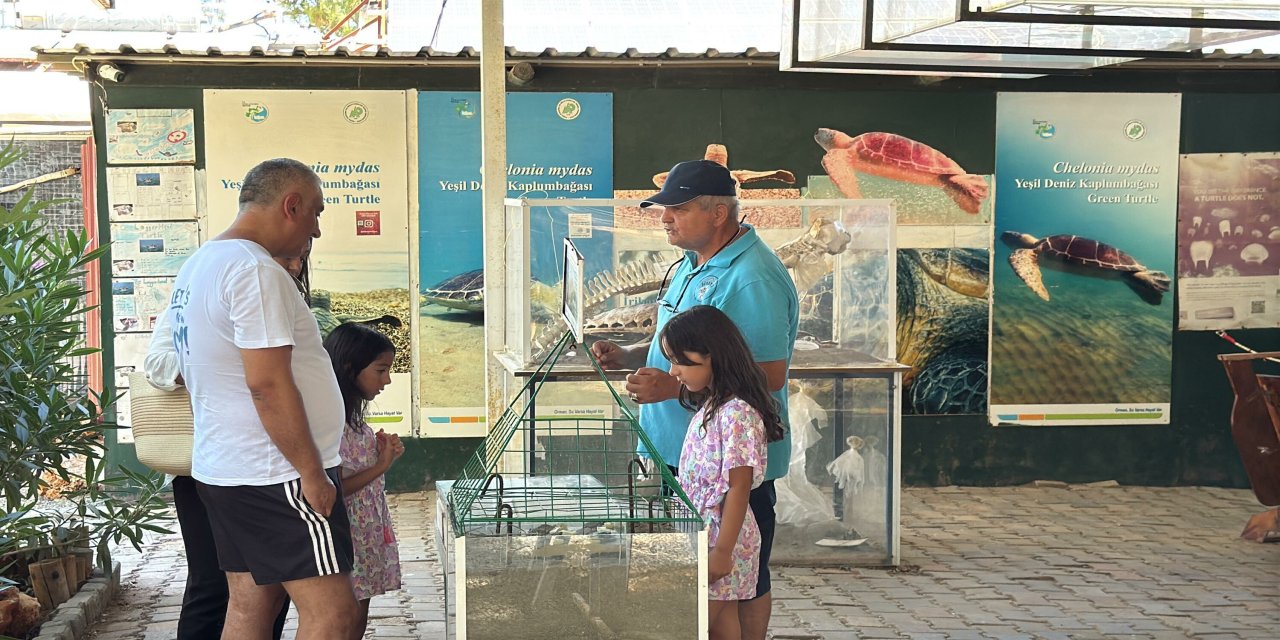 Caretta Caretta Müzesine İlgi