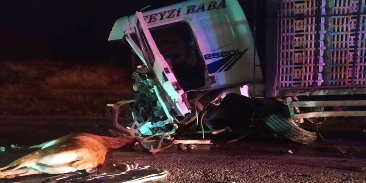 Hafif ticari araç, yola çıkan geyiğe çarptıktan sonra kamyonla çarpıştı; 1 ölü, 1 yaralı