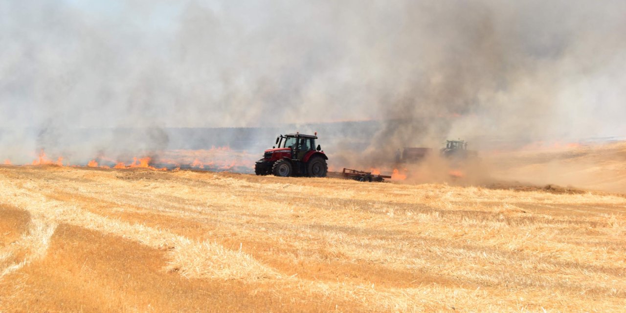 Kırklareli'de iki ayrı yangında ağaçlık alan ve tarım arazisi zarar gördü