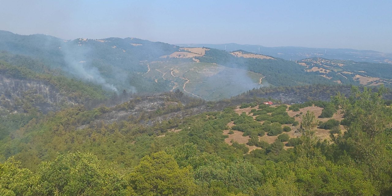 Balıkesir'deki orman yangını 2'nci gününde